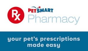 Petsmart online on sale