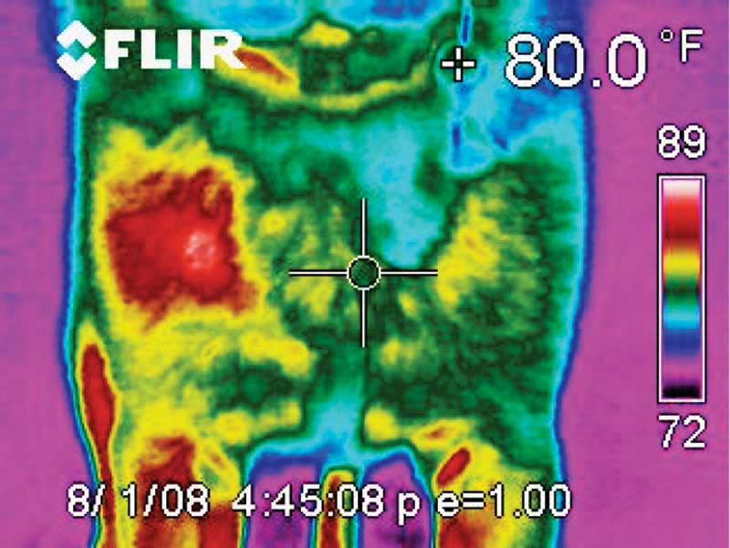 Will Thermal Imaging Gain Greater Traction In Veterinary - 