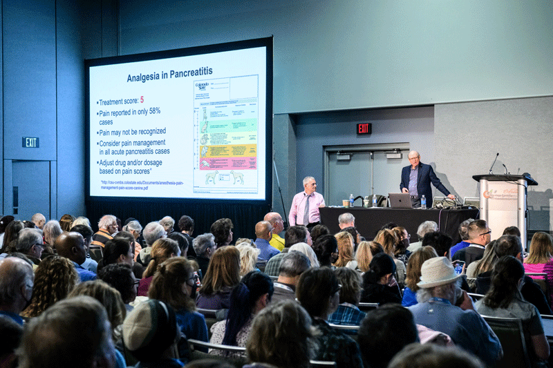 Assorted findings from this year's veterinary conference season