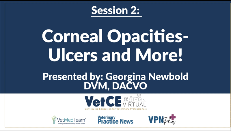 Canine Corneal Opacities—Ulcers and More!