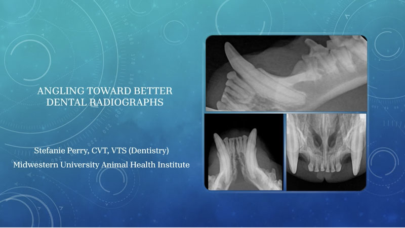 Angling for Great Intraoral Dental Radiographs