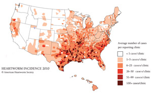 Heartworm Diagnosed In Every State In ’10, Survey Finds - Veterinary ...