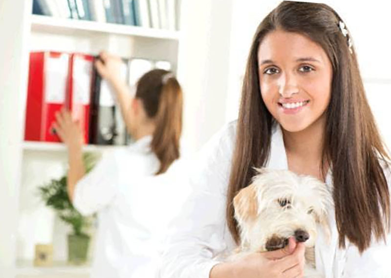 Open letters to recent grads and rising vet clinicians Veterinary